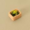 1:12 Dollhouse Miniature Bamboo Weaving Flower Basket Plant Ornament Mini Green Plant Pot Potted Garden Home Model Decor