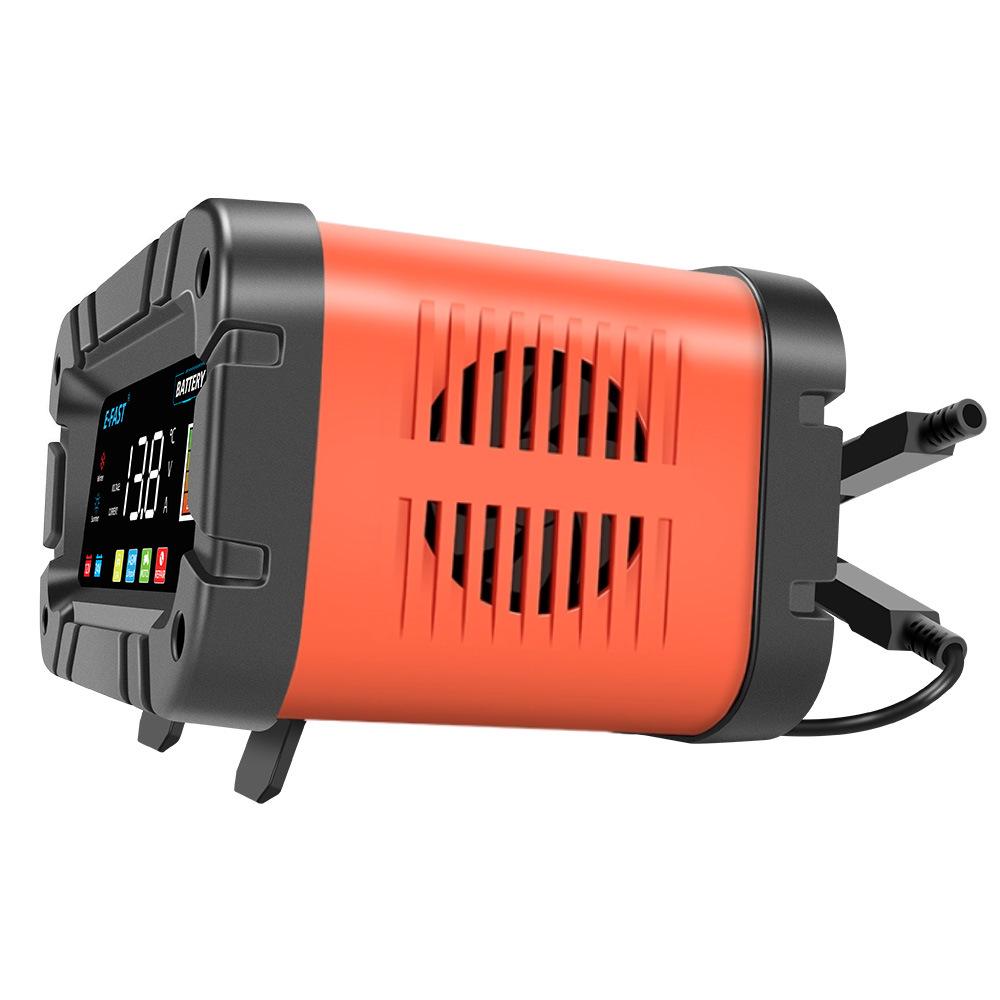 E-FAST High Power Lead-acid & Lithium 12V/24V Battery Charger, 20A/10A