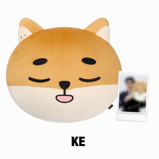 Pre-order DAY6 10th Anniversary Tour Finale In SEOUL The DECADE DENIMALZ Face Cushion