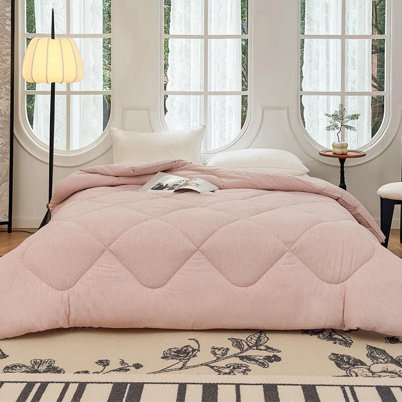 

Baifudi Yuejia All-Season Down Alternative Duvet Insert