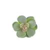 Diy Simulated Succulent Plant Hair Planting, Mini Fake Succulent Bonsai With Flowers, More Than 20 Styles Of Bn1