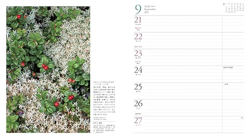 Calendar 2026 FLOWER CALENDAR Flower Calendar (Monthly Diary/Diary/Ring/Flower) (Yamakei Calendar 2026)
