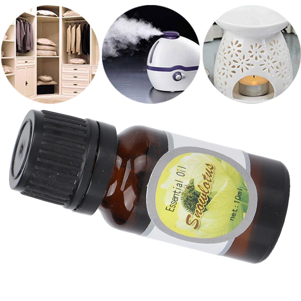 Essential Oil Home Buty Salon Fragrance Essential Oil for Diffuser 10ml