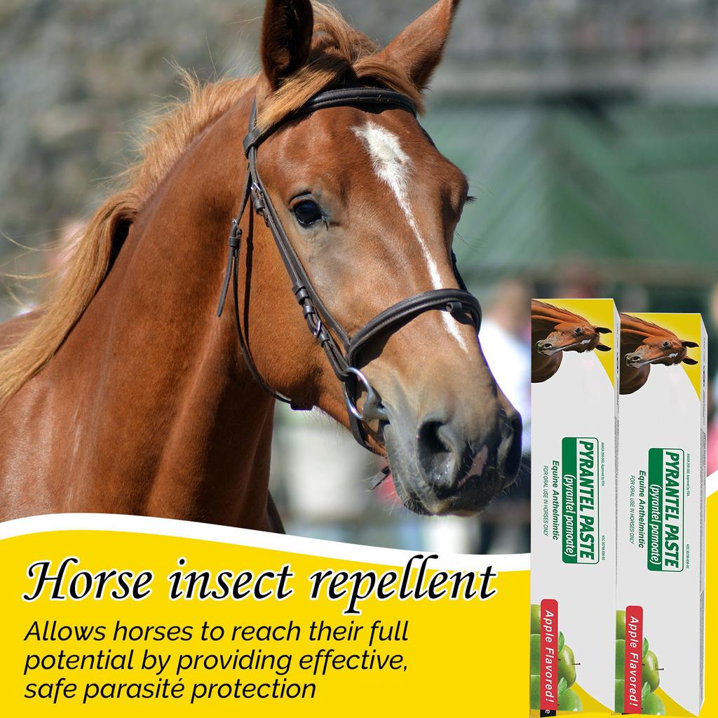 Flavored Horse Anthelmintic, Can Control Big Strongyle, Small Strongyle, Pinworm, Roundworm, Caterpillar, Big Stomach Worm, Horse Gastropod