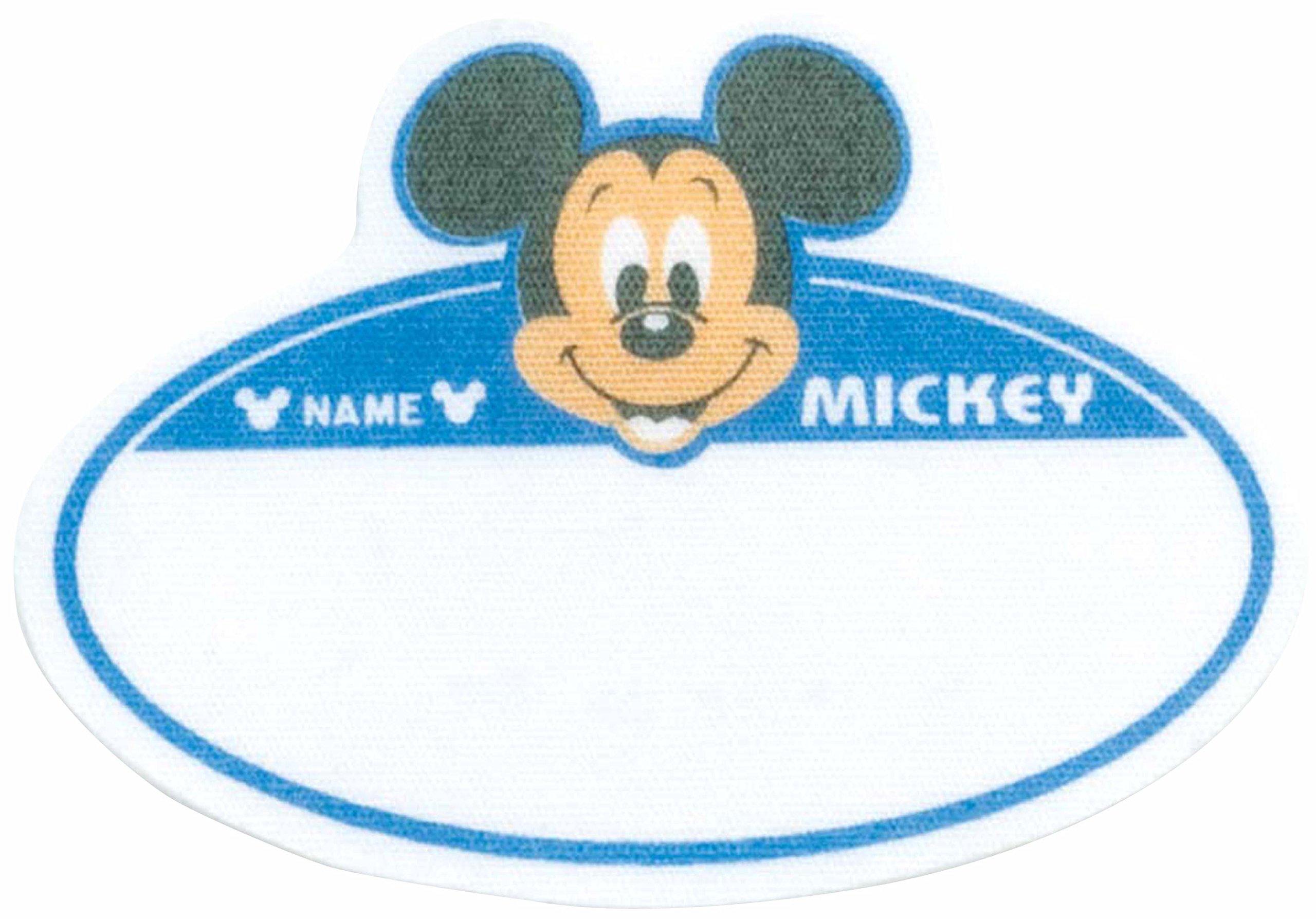 

Этикетка Pioneer с именем Disney Mickey Mouse DI250-DI01