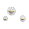 Creative Gold Plating Stereo Fish-shaped Wall Hanging Wooden Tray Abstract Fish-shaped Wall Hangings Background Wall Decoration