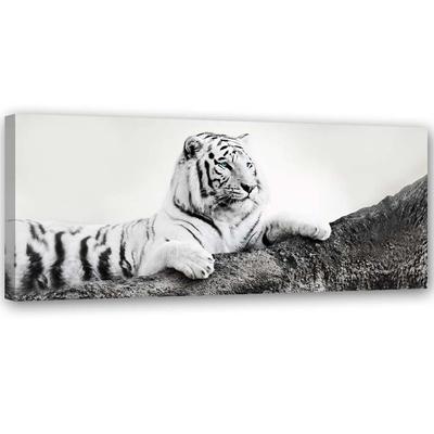 Obraz na plátne Tiger Africa Animals