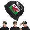 Flag Of Wales Welsh Dragon Men Women Adult Beanies Caps Knitted Bonnet Hat Warm Hip Hop Autumn Winter Outdoor Skullies Hats