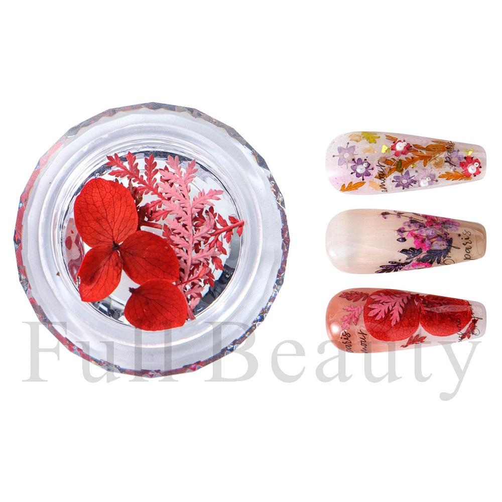 

1 коробка для ногтей, сушеные цветы, маленькие ромашки, натуральные цветочные наклейки, смешанные сухие цветы, сделай сам, наклейки для дизайна ногтей, УФ-гель-лак для маникюра