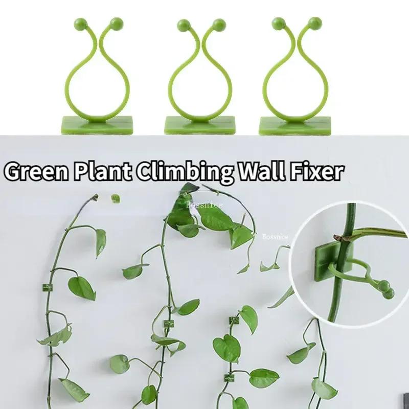 20Pcs Plant Climbing Wall Clips Vine Buckle Hook Rattan Clamp Fixator Self-Adhesive Plant Stent Invisible Vine Climbing Fixed