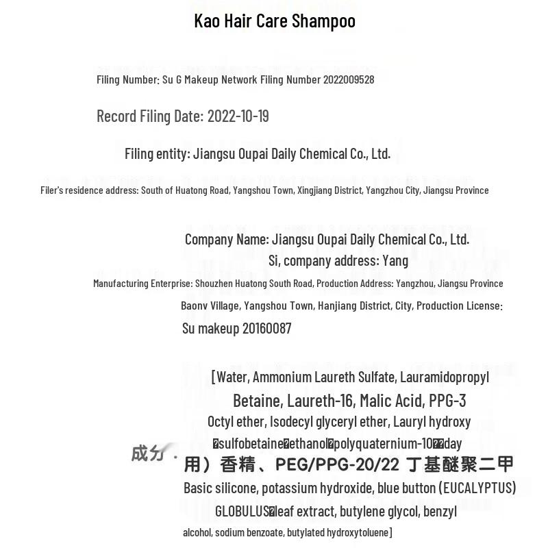 Kao Anxin Series Shampoo