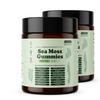 Meeresmoos-Gummibärchen 16-in-1 Stärkt das Immunsystem, Wohlbefinden & Verdauung