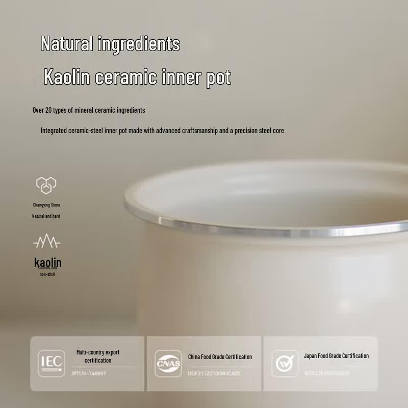 olayks Pentola a pressione elettrica intelligente spina CN (adattatore incluso)