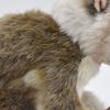 BH7043 HANSA Slow Loris 17
