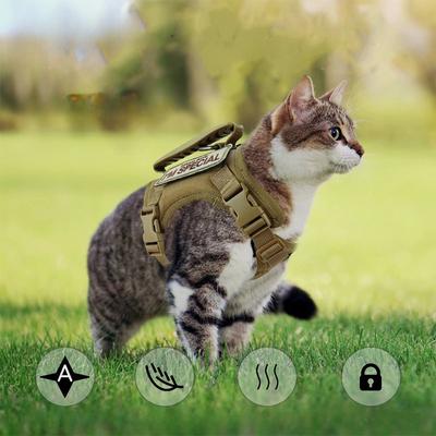 Cat Vest Harness, Adjustable Tactical Harnesses, Leash Set, Walking Breathable Mesh Pet Clothes, Large Kitten Cats and Small Dog