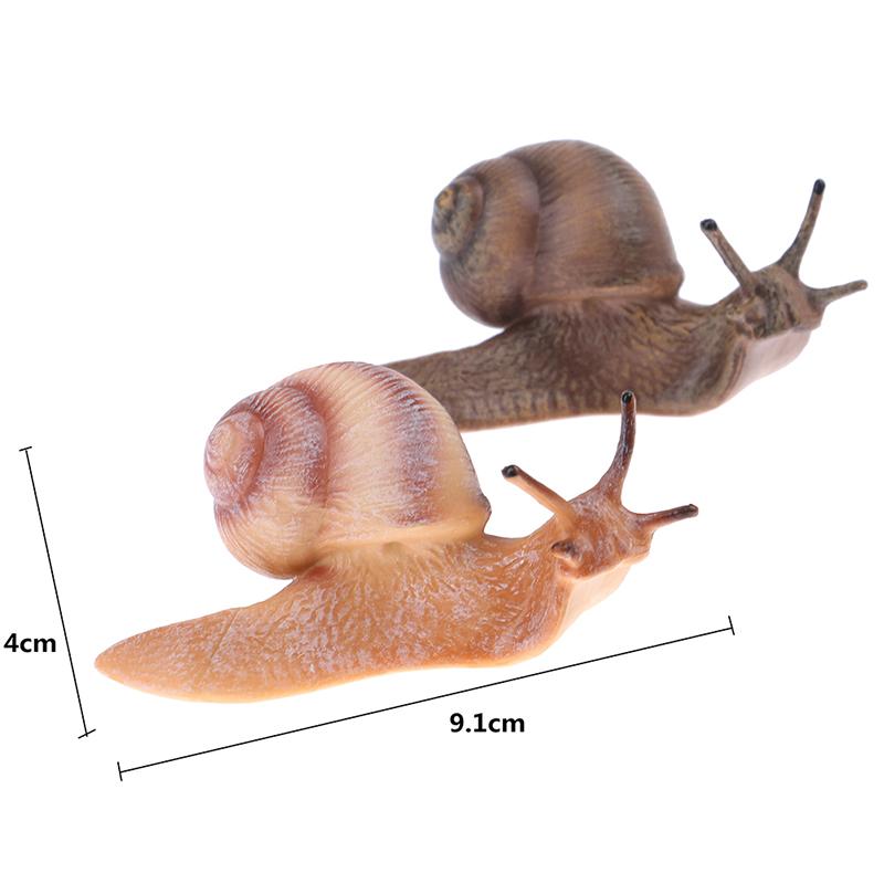 Simulation Animal Insect Model Mini Animal Snail Growth Cycle Ornament