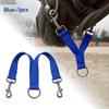 Heavy-Duty Double-Headed Horse Mouth Hook for Lead Ropes, Reliable Equestrian Training Connection Accessory