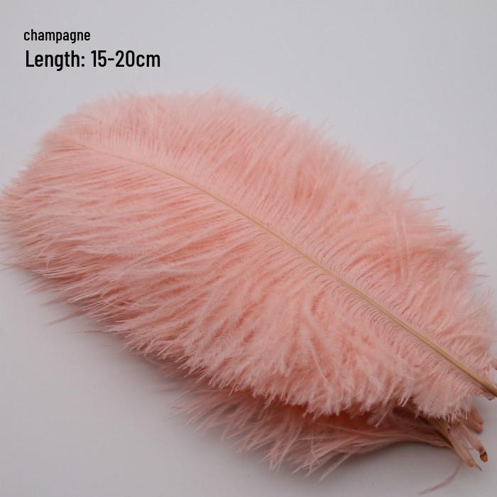 Large 15-20cm Ostrich Feathers for Wedding Arrangements and Stage Props