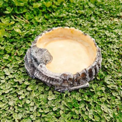 Reptile Feeding Dish Bowl with Easy Access Step Accessory 15cm Diameter Multipurpose for Small