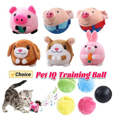 Chiens – Jouets pour chiens