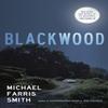 Blackwood by Michael Farris Smith Paperback Book 9780857304063
