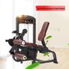 TE25 Leg Extension & Curl Machine