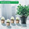 Biodegradable Nursery Home Seedling Pot With Aerated Lid