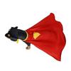 Red Dog Hero Costume Cape for Halloween and Parties, Superhero Dog Costume Cape Cosplay Set with Soft Collar and Tag Complete Set