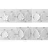 Flexible Food Grade Silicone Leaf Shaped Mould For Crystals Epoxy Art Projects