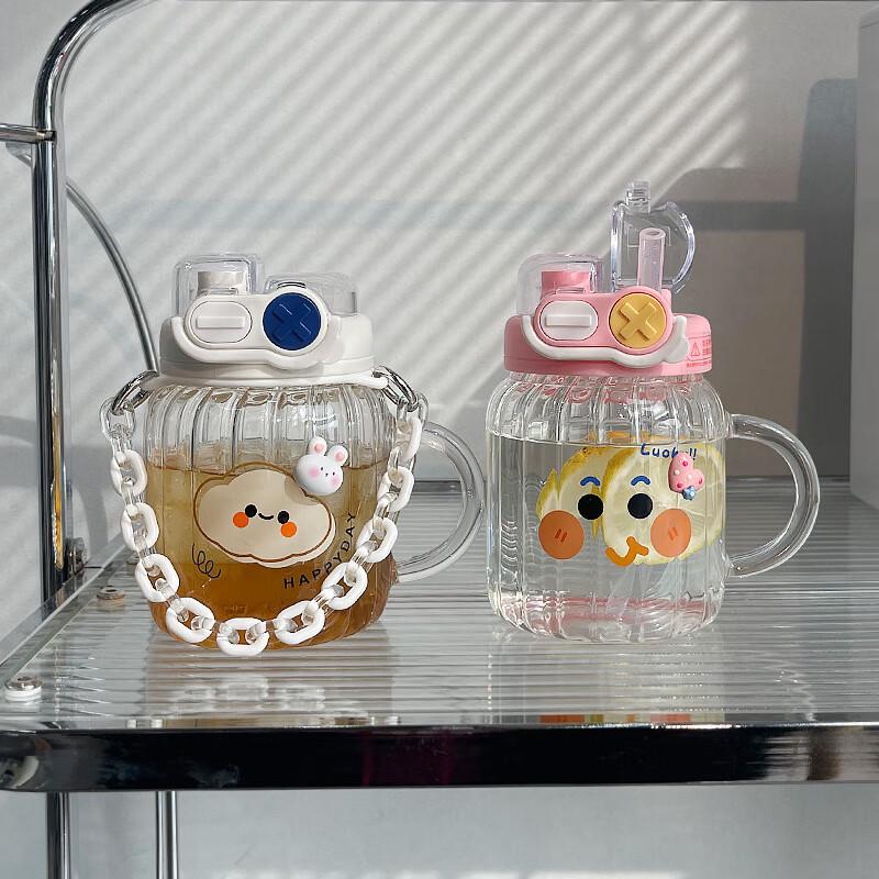 Wen Su Cute Glass Water Bottle with Handle and Straw