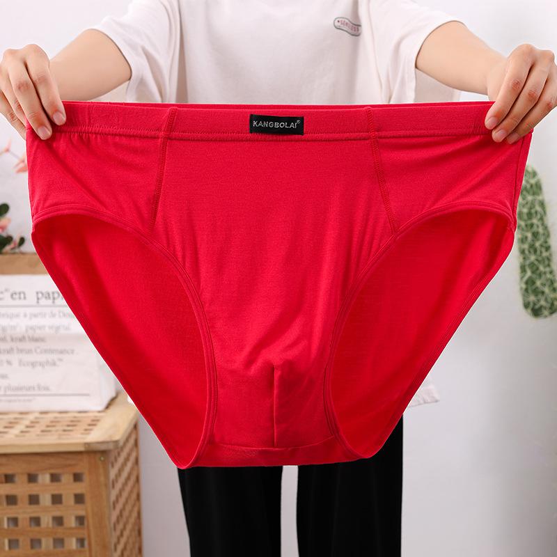 Plus Size Men Spring and Summer Sexy Loose Breathable Triangle Briefs