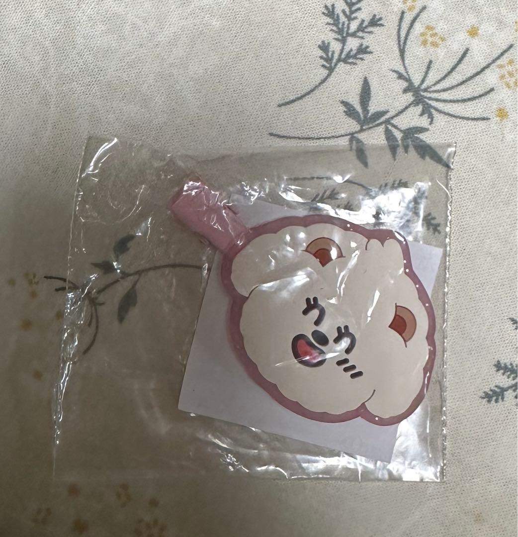 

[USED] Bamguk Beomgyu Hair Clip