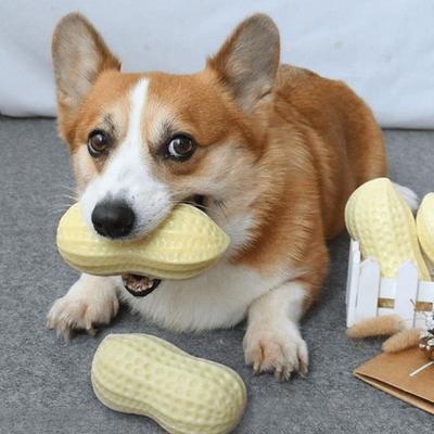 Squeaky Dog Toys Interactive, Peanut Shape Dog Toys Teeth-Cleaning Squeak Dog Chew Toy, Durable for Medium Dogs, Large & Small Breeds - Puppy Teething