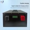 Zi Xi Long-Life Fast-Charging Smart Lithium Iron Phosphate RV Battery