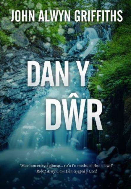 Dan y Dwr by John Alwyn Griffiths Paperback Book 9781845279103