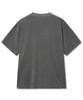 IDWS Swift Symbol Dying T-Shirt Gray