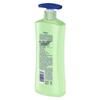 Vaseline Aloe Soothing Body Lotion