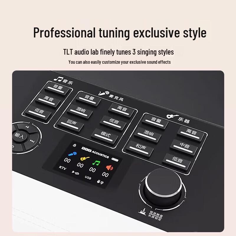 BBS P6 Portable KTV Speaker