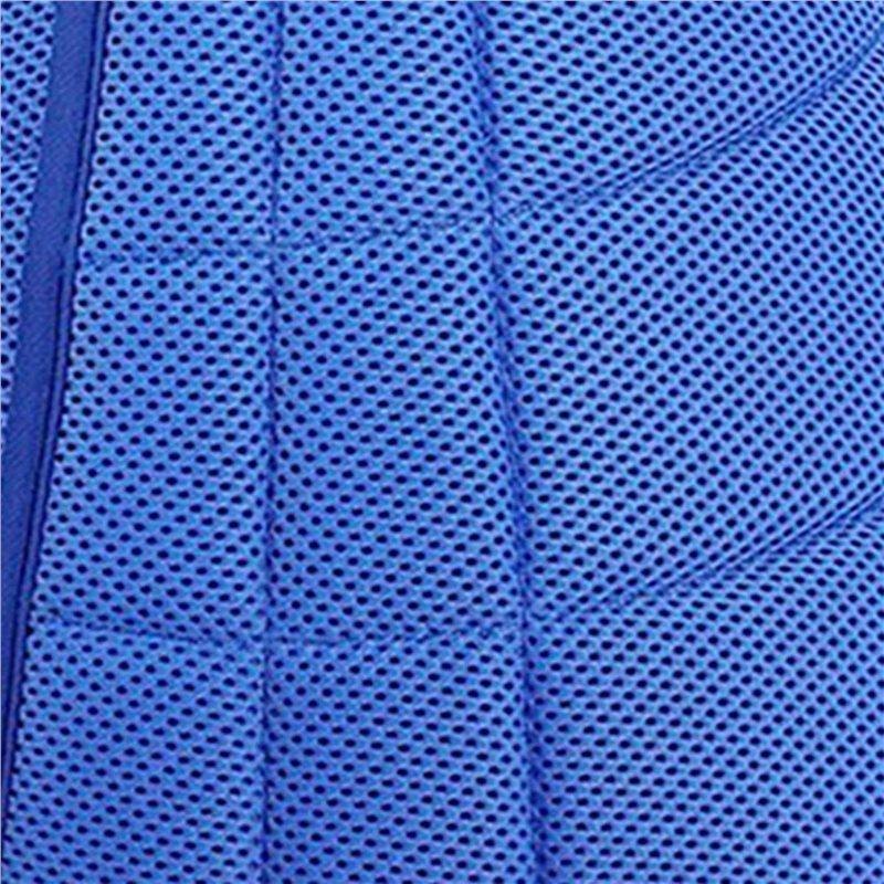 2X Dog Cone Collar Protective Wound L