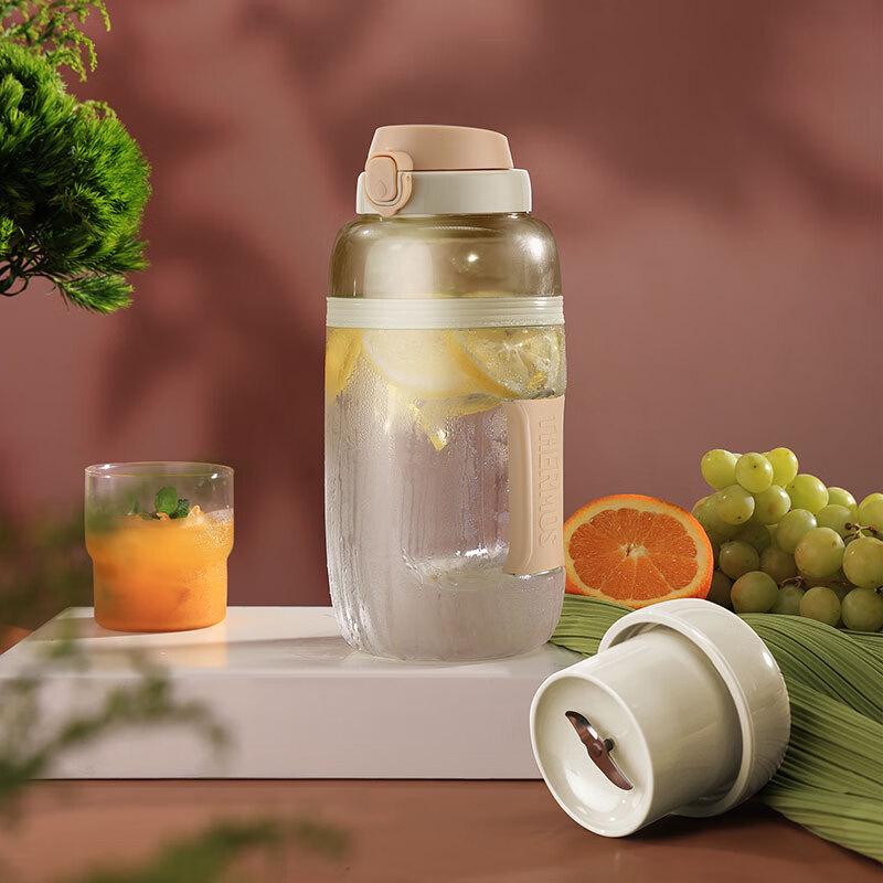 Thermos Portable Mini Juicer Cup CN plug (adapter included)