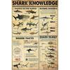 Shark Knowledge Metal Tin Sign Sharks Of The World Funny Poster School Cafe Bathroom Kitchen Home Art Wall Decoration Plaque
