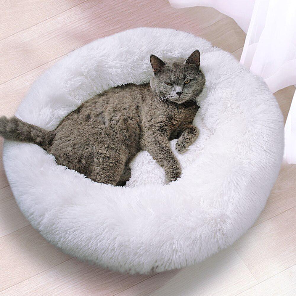 cat sleeping pad