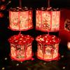 Spring Festival New Year Portable Cartoon Handmade Projection Lantern for Year of The Loong or Snake DIY