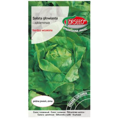 Atena-Kopfsalat, frische Gemüsesamen PREMIUM 1g