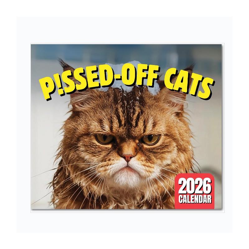 2025 New Pissed-Off Cat Calendar Wall Calendar Cute Desk Accessories Creative Cat Calendar Art Calendar For Home Office