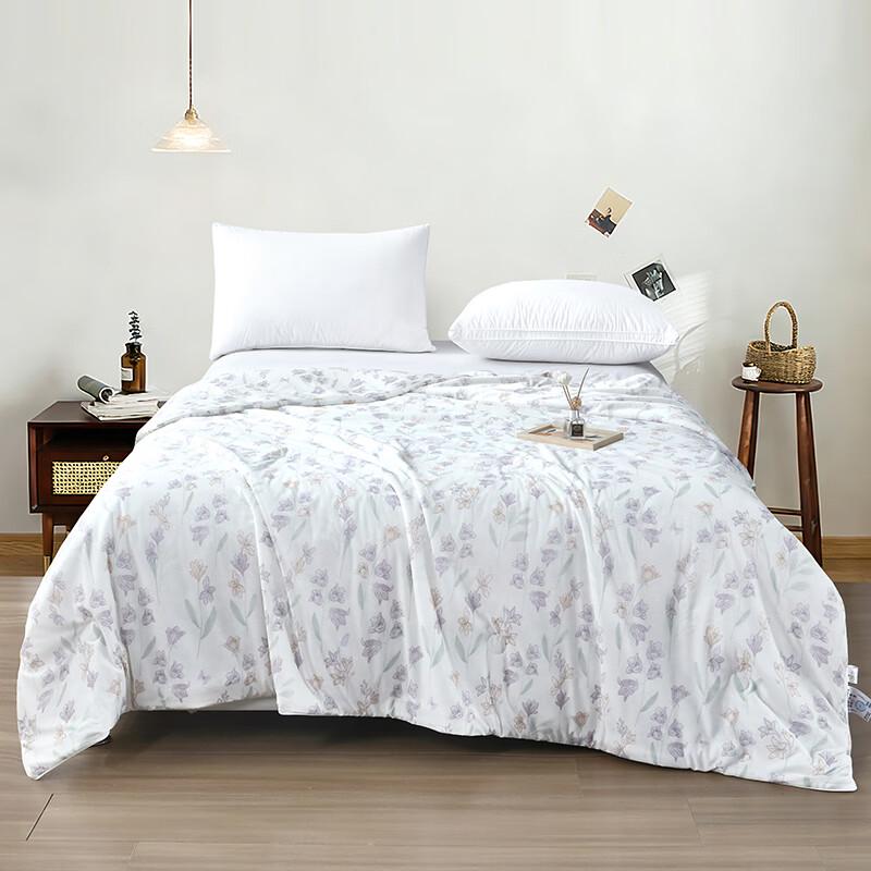 Yalu Ice Silk Cooling Summer Quilt