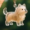 Transparent Acrylic Keychain Cat Hair Storage Capsule Dog Hair Storage Container  Memorial Key Ring