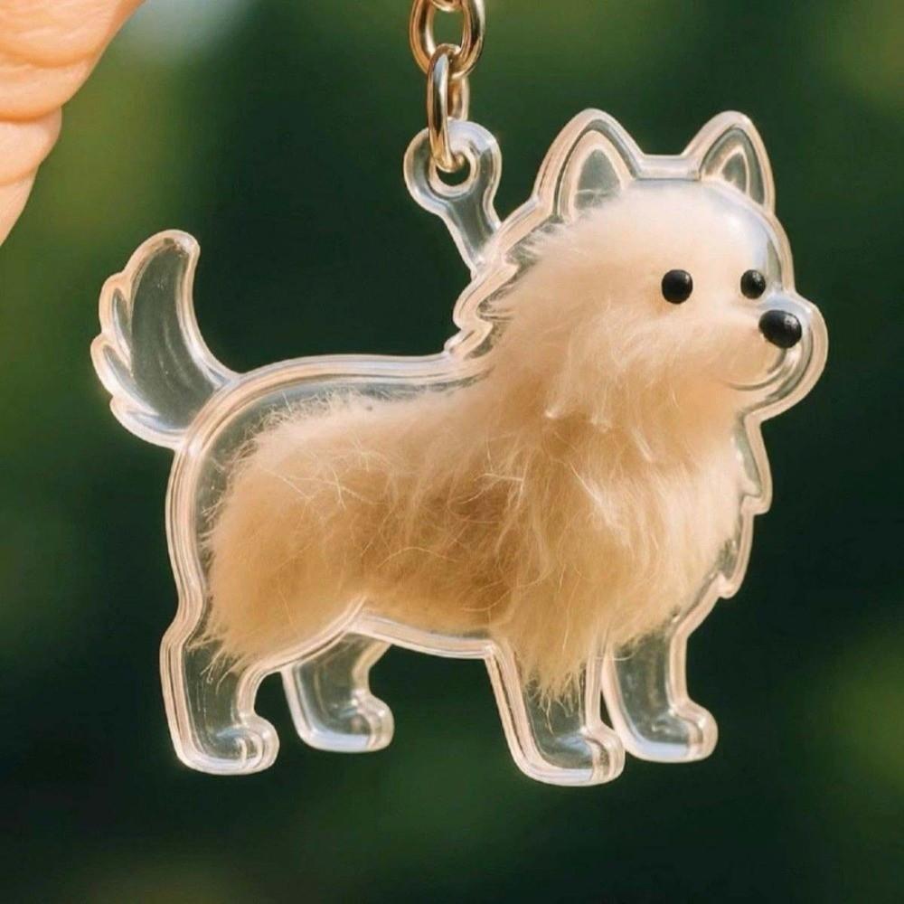 Transparent Acrylic Keychain Cat Hair Storage Capsule Dog Hair Storage Container Memorial Key Ring
