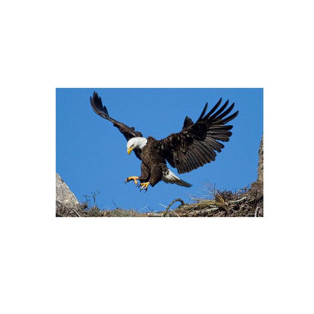 Қынап пен бет суреті