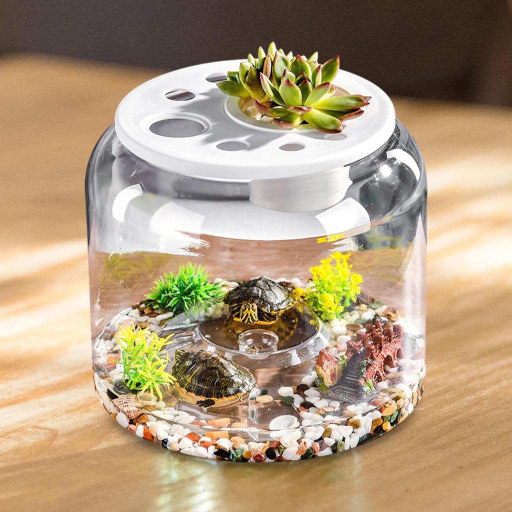 Transparenter Schildkröten-Aquarium-Schildkröten-Behälter mit abnehmbarem Deckel Schreibtisch-Dekoratives Terrarium-Behälter DIY Mikro-Landschafts-Fischbecken
